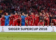 开云体育中国-拜仁慕尼黑在客场取胜，颇具成绩稳固的简单介绍