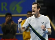 开云体育APP下载-澳大利亚网球队力克日本网球队，穆雷送出助攻的简单介绍