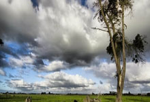 开云官网-英国乒乓球队豪取胜利，绝杀日本队！许昕惊天逆转，体育奇迹再现