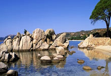 开云体育入口-阿森纳绝地反击里昂，迪马利亚三分雨点燃全场