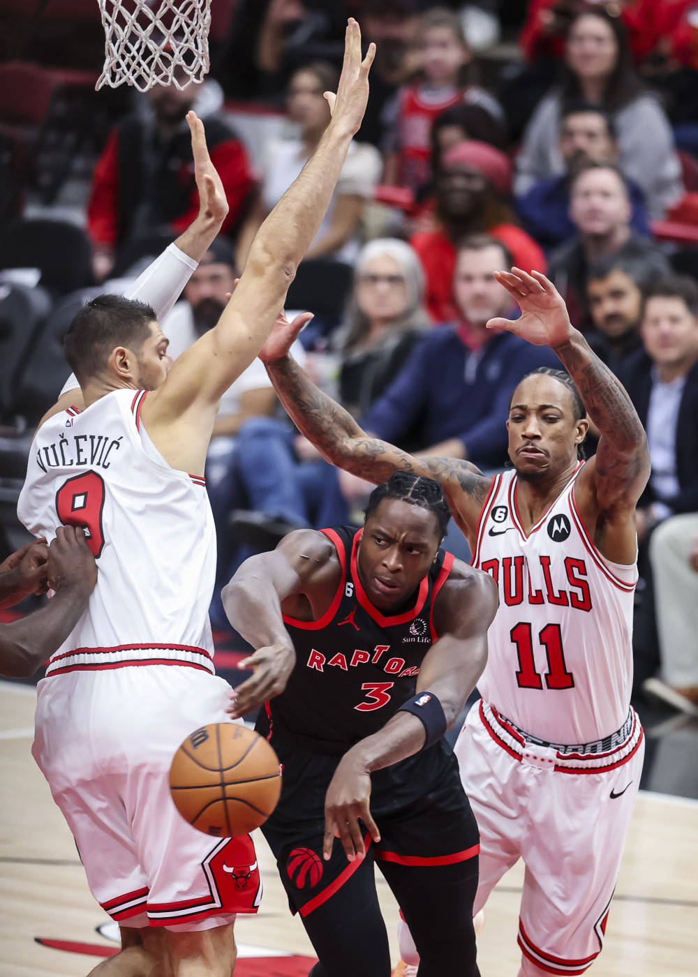 猛龙后卫遭遇伤病，球队战力受影响的简单介绍