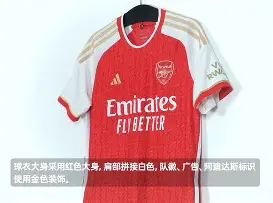 包含阿琛球员期待下个赛季，提升在场表现的词条