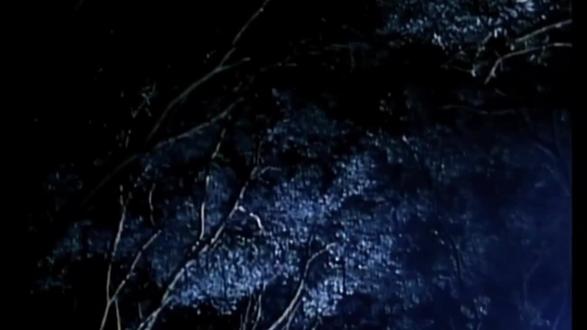 千钧一发之际,冠军终将出现!的简单介绍 千钧一发之际,冠军终将出现!的简单介绍