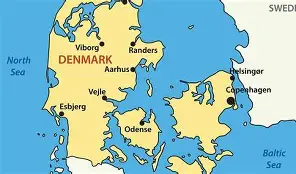 丹麦队员鞠躬尽瘁感慨万千的简单介绍