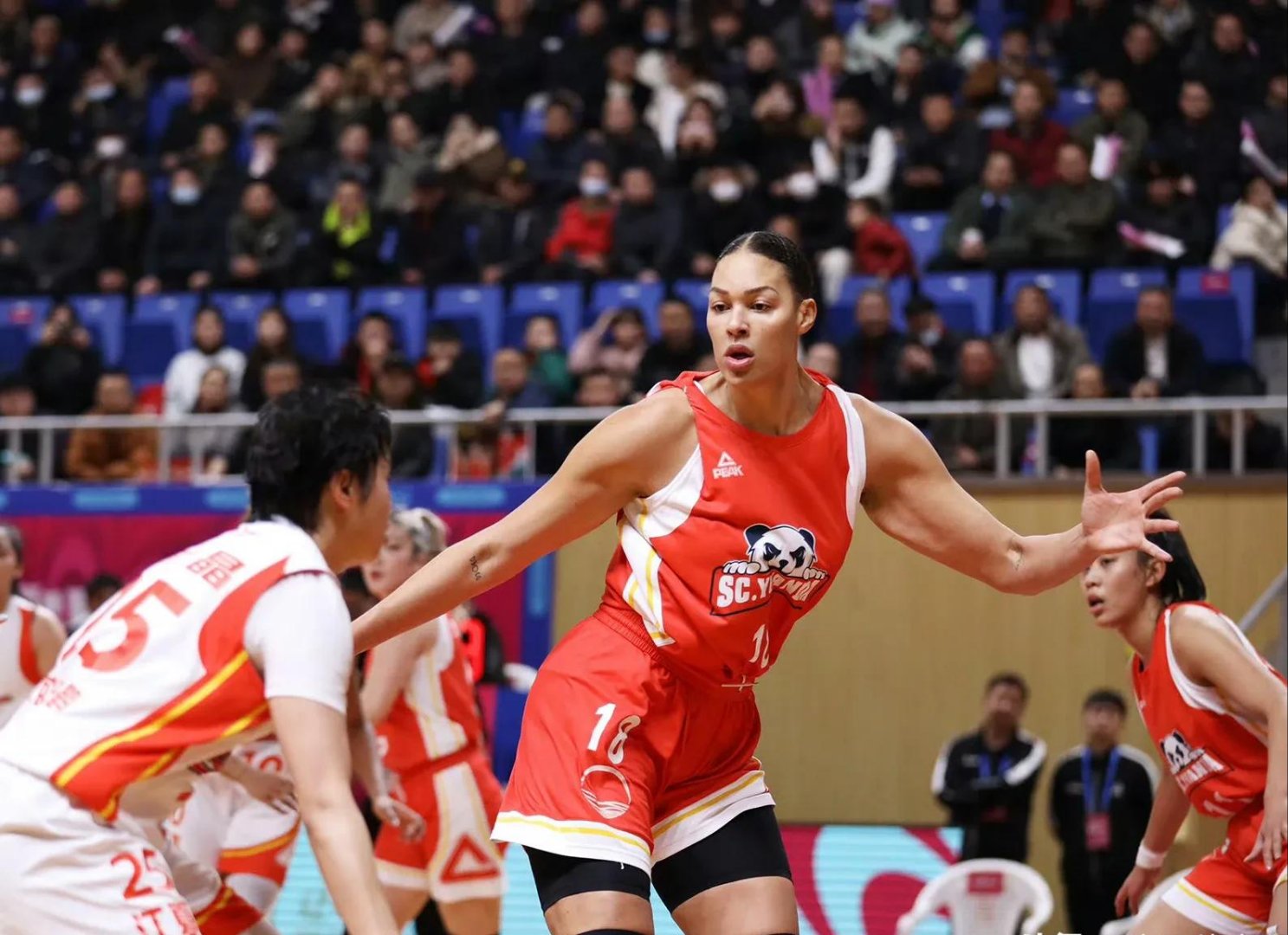 包含非洲国家杯八强诞生，角逐正激烈展开的词条