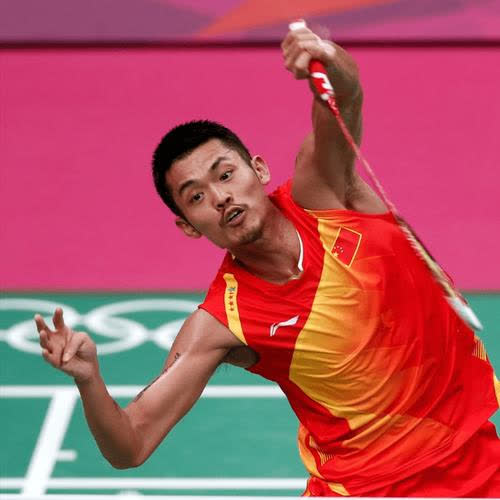 包含排球明星林丹将续约的词条