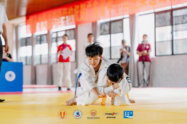 惊心动魄：柔道赛场上的激烈较量的简单介绍