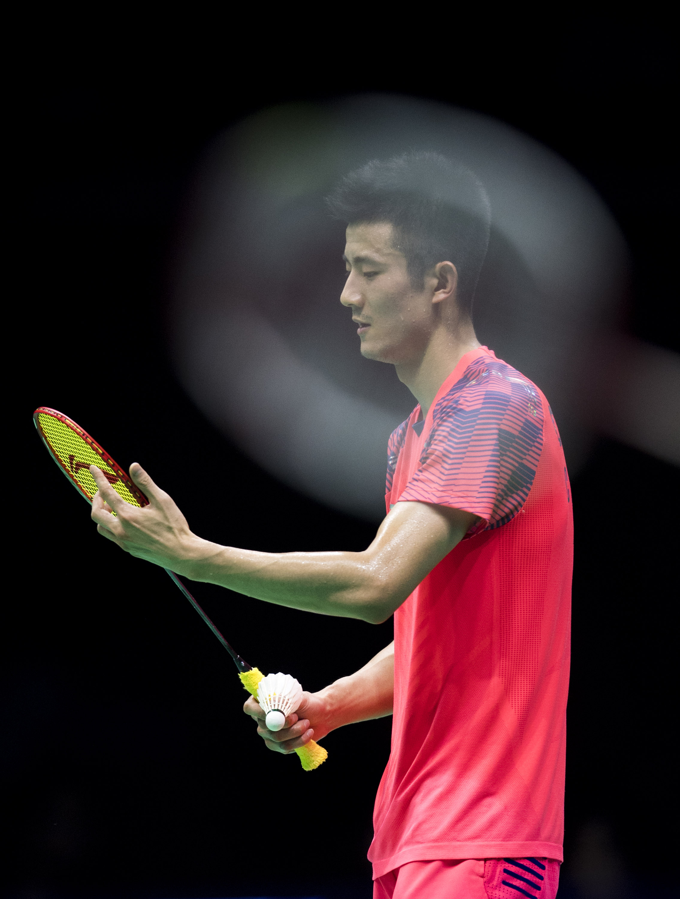 丹麦羽毛球队碾压中国羽毛球队，谌龙制霸全场的简单介绍